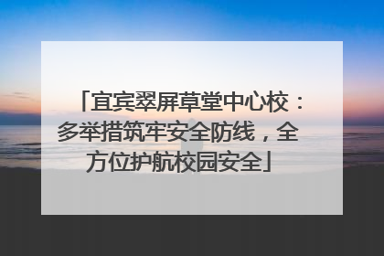 宜宾翠屏草堂中心校：多举措筑牢安全防线，全方位护航校园安全