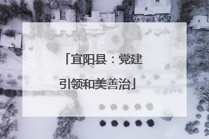 宜阳县：党建引领和美善治