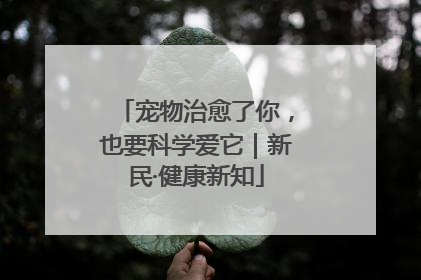 宠物治愈了你，也要科学爱它｜新民·健康新知