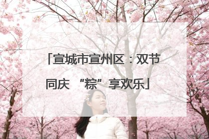 宣城市宣州区：双节同庆 “粽”享欢乐