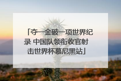 夺一金破一项世界纪录 中国队领衔收官射击世界杯慕尼黑站