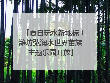 夏日玩水新地标！潍坊弘润水世界苗族主题乐园开放