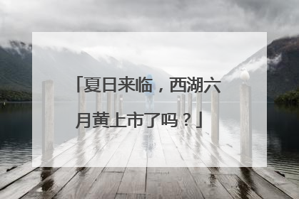 夏日来临，西湖六月黄上市了吗？