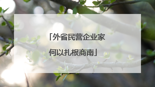 外省民营企业家何以扎根商南