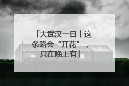 大武汉一日丨这条路会“开花”，只在晚上有
