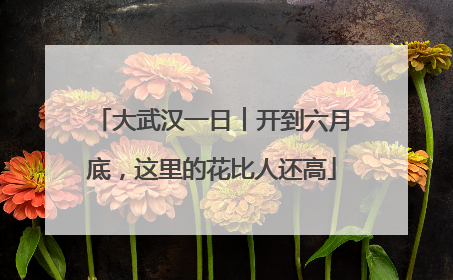 大武汉一日︱开到六月底，这里的花比人还高