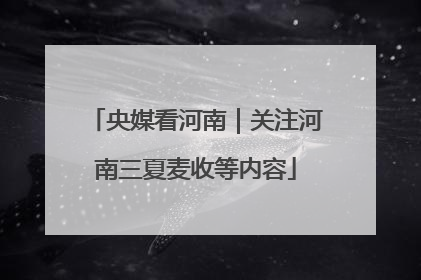 央媒看河南｜关注河南三夏麦收等内容