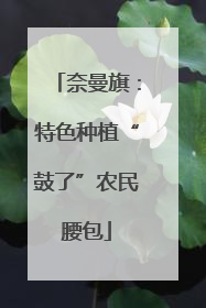 奈曼旗：特色种植“鼓了”农民腰包