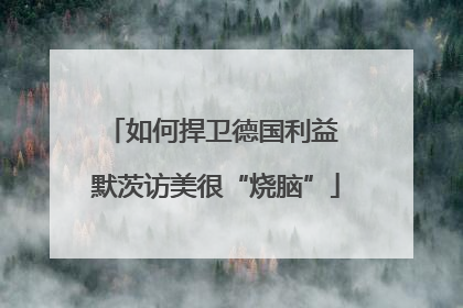 如何捍卫德国利益 默茨访美很“烧脑”