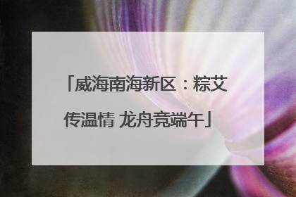 威海南海新区：粽艾传温情 龙舟竞端午