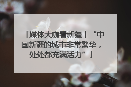 媒体大咖看新疆丨“中国新疆的城市非常繁华，处处都充满活力”