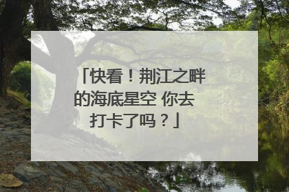 快看！荆江之畔的海底星空 你去打卡了吗？