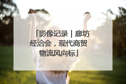 影像记录｜廊坊经洽会，现代商贸物流风向标