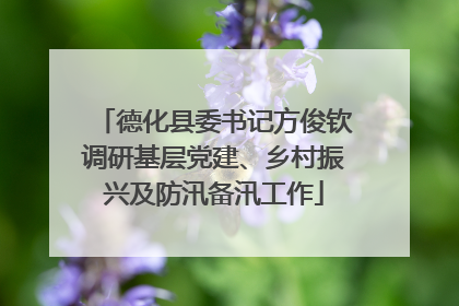德化县委书记方俊钦调研基层党建、乡村振兴及防汛备汛工作