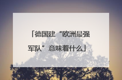 德国建“欧洲最强军队”意味着什么