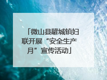 微山县驩城镇妇联开展“安全生产月”宣传活动