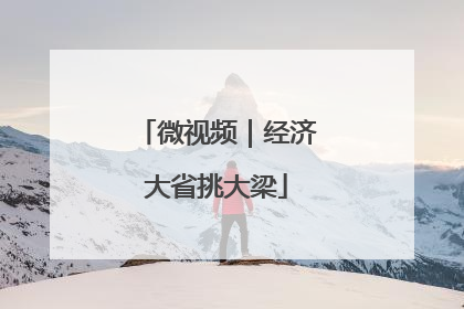微视频｜经济大省挑大梁