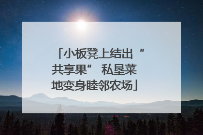 小板凳上结出“共享果” 私垦菜地变身睦邻农场