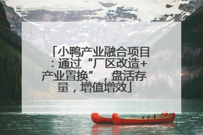 小鸭产业融合项目：通过“厂区改造+产业置换”，盘活存量，增值增效
