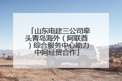 山东电建三公司牵头青岛海外（阿联酋）综合服务中心助力中阿经贸合作