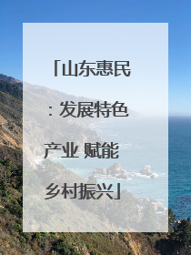 山东惠民：发展特色产业 赋能乡村振兴