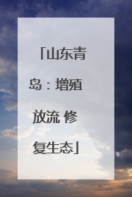 山东青岛：增殖放流 修复生态