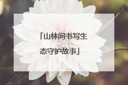 山林间书写生态守护故事
