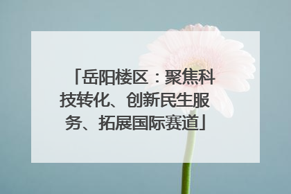 岳阳楼区：聚焦科技转化、创新民生服务、拓展国际赛道