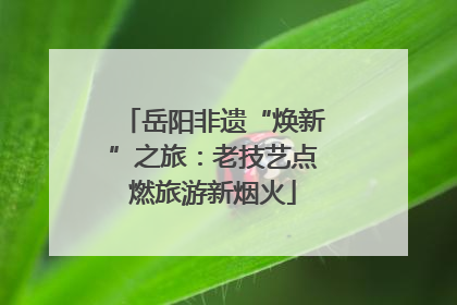 岳阳非遗“焕新”之旅：老技艺点燃旅游新烟火