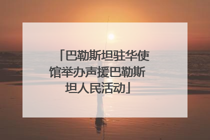 巴勒斯坦驻华使馆举办声援巴勒斯坦人民活动