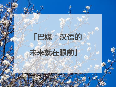 巴媒：汉语的未来就在眼前