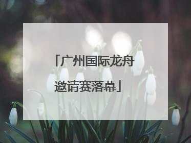 广州国际龙舟邀请赛落幕