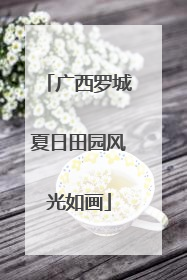 广西罗城夏日田园风光如画