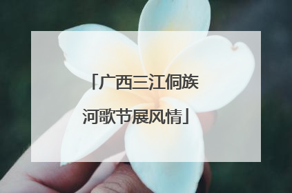 广西三江侗族河歌节展风情