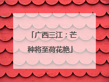 广西三江：芒种将至荷花艳