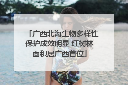 广西北海生物多样性保护成效明显 红树林面积居广西首位
