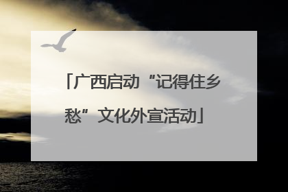 广西启动“记得住乡愁”文化外宣活动