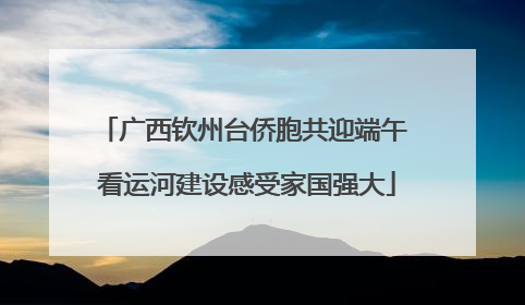 广西钦州台侨胞共迎端午 看运河建设感受家国强大