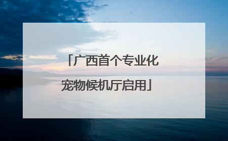 广西首个专业化宠物候机厅启用