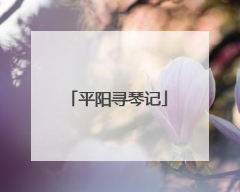 平阳寻琴记