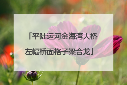 平陆运河金海湾大桥左幅桥面格子梁合龙