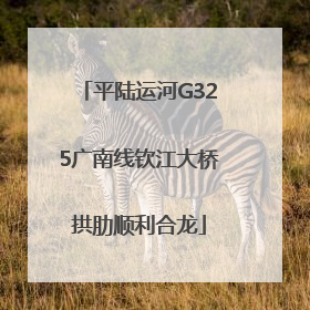 平陆运河G325广南线钦江大桥拱肋顺利合龙
