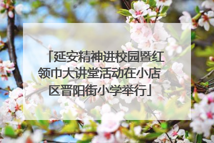 延安精神进校园暨红领巾大讲堂活动在小店区晋阳街小学举行
