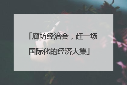 廊坊经洽会，赶一场国际化的经济大集