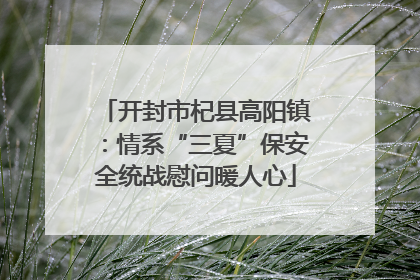 开封市杞县高阳镇：情系“三夏”保安全统战慰问暖人心