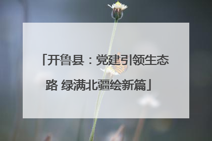 开鲁县：党建引领生态路 绿满北疆绘新篇