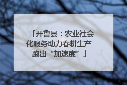 开鲁县：农业社会化服务助力春耕生产跑出“加速度”