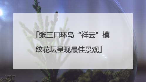 张三口环岛“祥云”模纹花坛呈现最佳景观