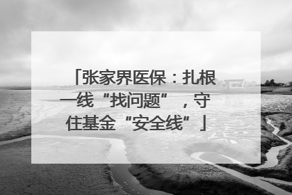 张家界医保：扎根一线“找问题”，守住基金“安全线”