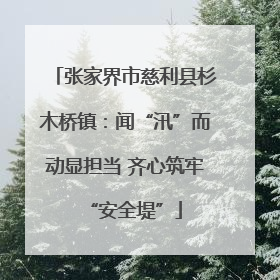 张家界市慈利县杉木桥镇：闻“汛”而动显担当 齐心筑牢“安全堤”